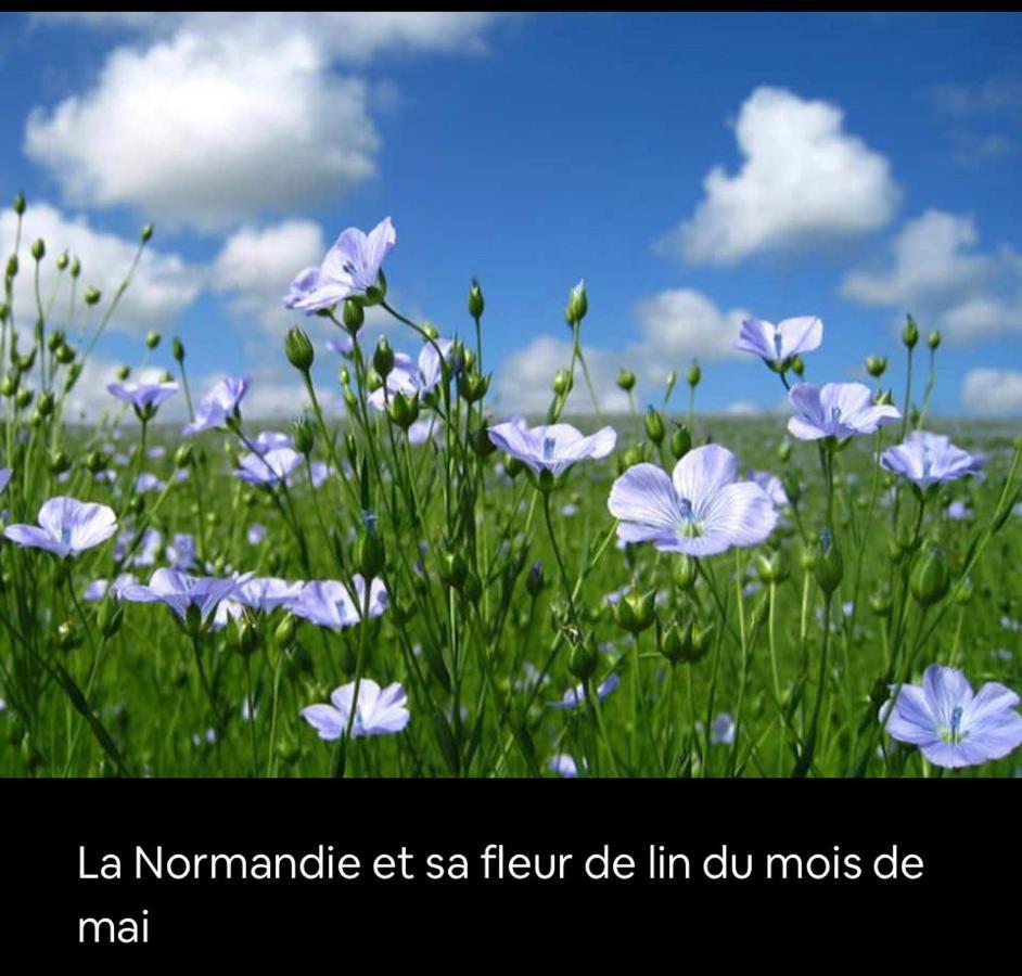 Appartement Veules Roses , La Cressonniere: « Veules & Victor «  Exterior photo